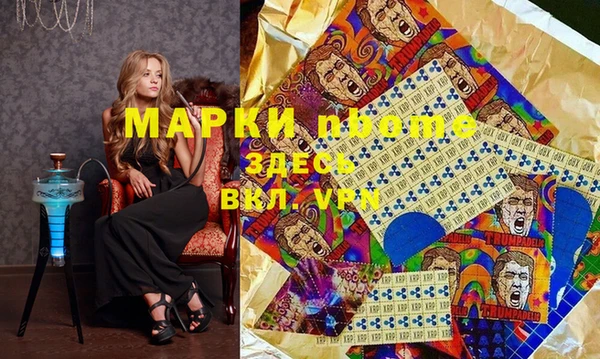 молекула духа Новозыбков