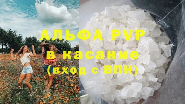 молекула духа Новозыбков