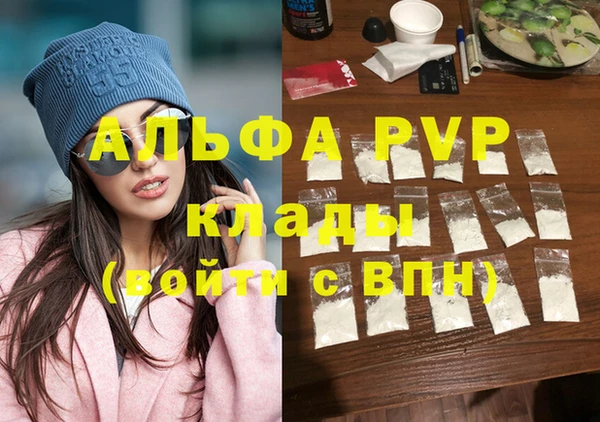 молекула духа Новозыбков