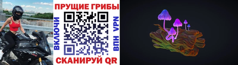 KRAKEN ONION  где найти   Поворино  Псилоцибиновые грибы GOLDEN TEACHER 